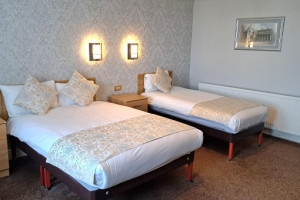 Executive Twin Room